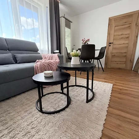 דירה Apartnany To-to אוסטרבה