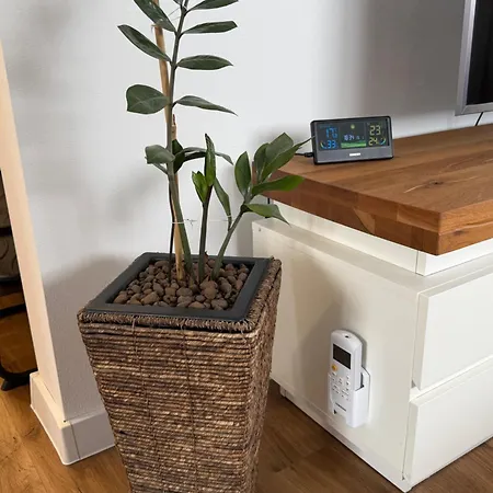 Apartnany To-to דירה *